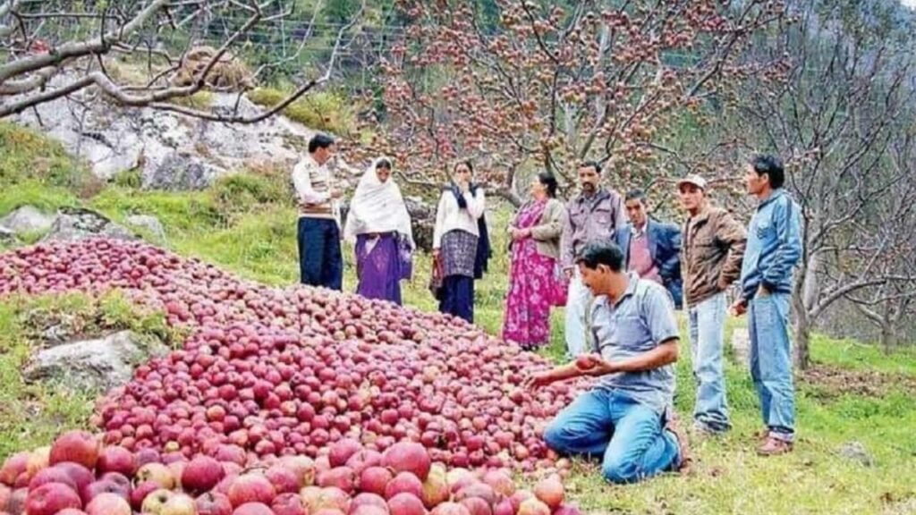 dharali-apple-farming.jpg